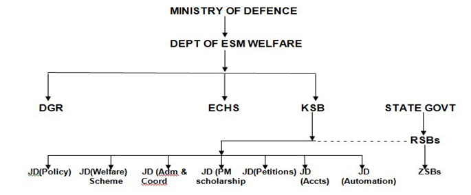 Organisational Chart