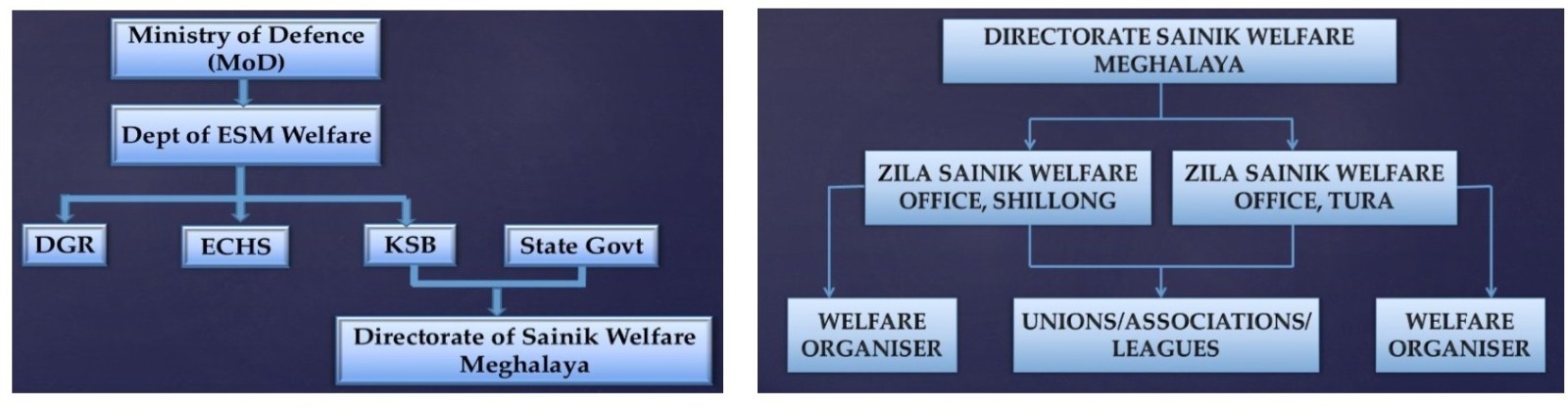 Organisational Chart